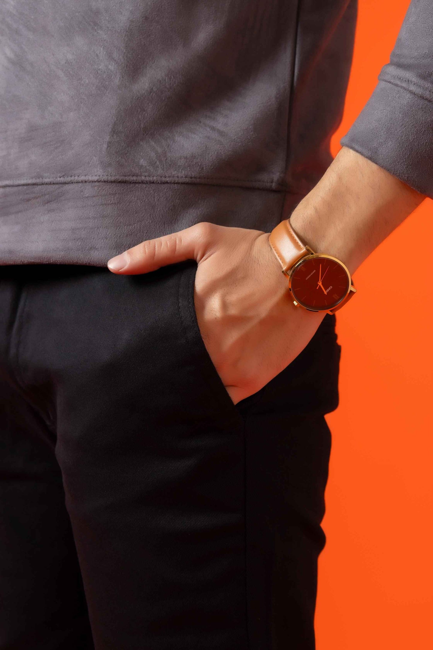 Carbon Black Regular Fit Cotton Pant
